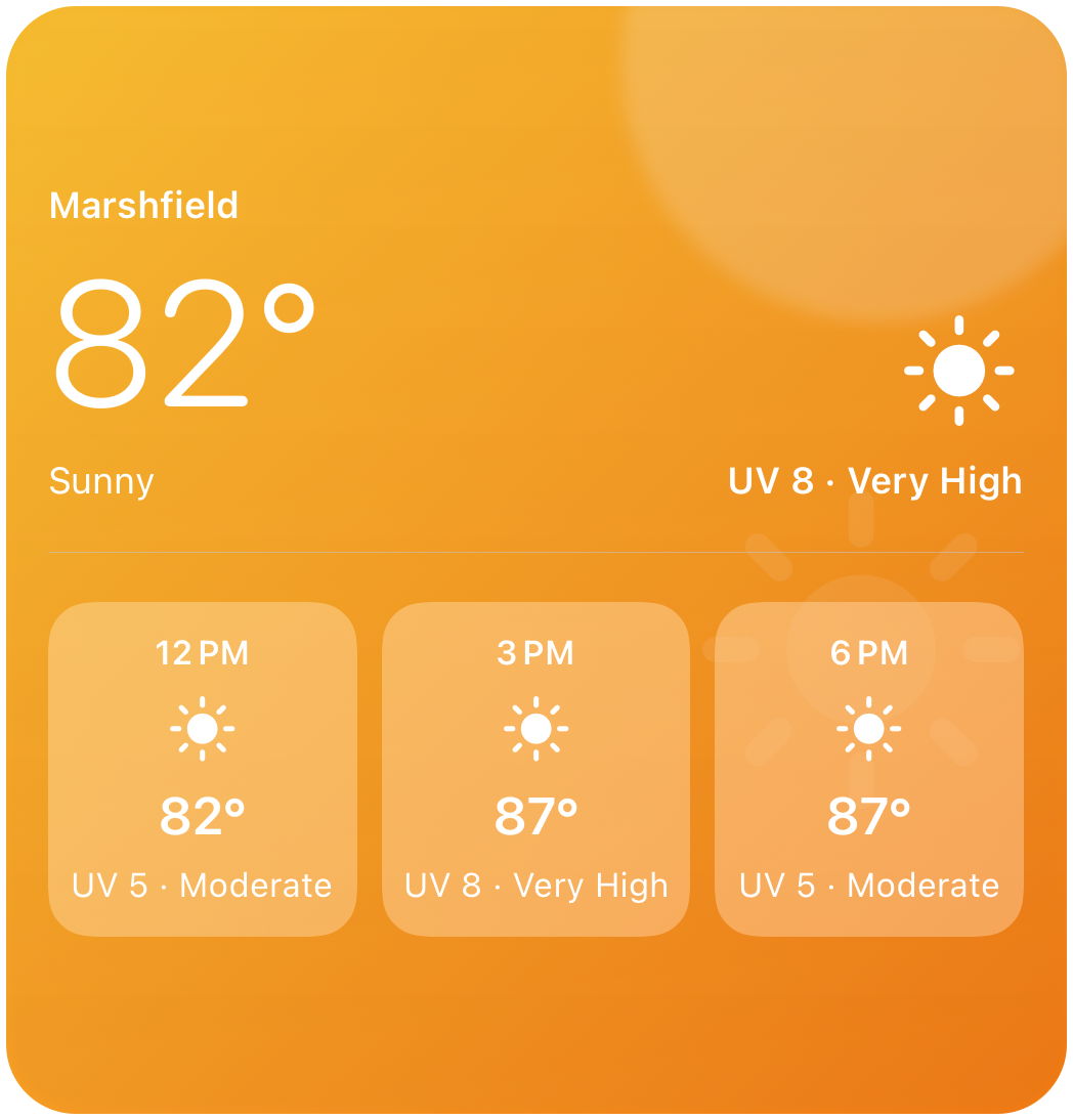 DS Weather Large · seasonal widget